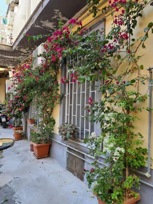 Apartamento Vesuvius A Mezzocannone Nápoles Exterior foto