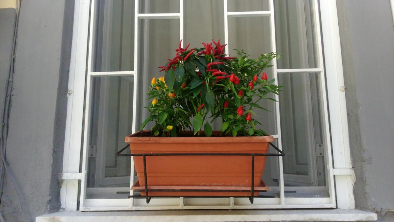 Apartamento Vesuvius A Mezzocannone Nápoles Exterior foto